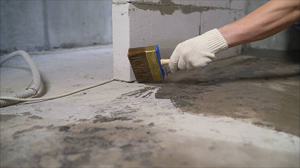 SJ Waterproofing Pros Waterproofing coverage map for Winnebago, MN and surrounding area